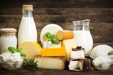 توضیح مدیرکل استاندارد تهران درباره شایعات لبنیات صنعتی