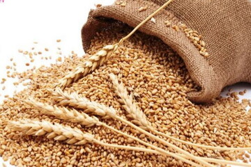 اعلام روش های پرداخت زکات فطره برای تهرانی‌ها