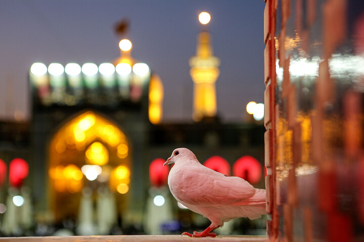بستری مقدس برای همبستگی ملّی