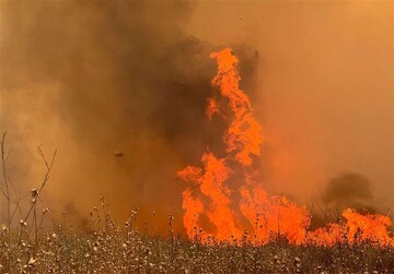 آتش سوزی‌های گسترده سرتاسر فلسطین اشغالی را فرا گرفته است