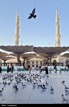 حال و هوای مسجدالنبی در ایام حج