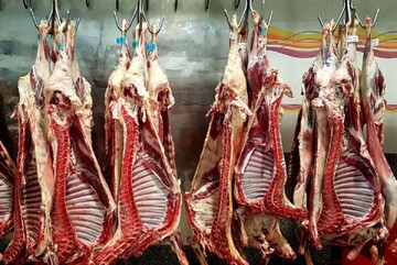 ارز ترجیحی گوشت قرمز حذف نشد