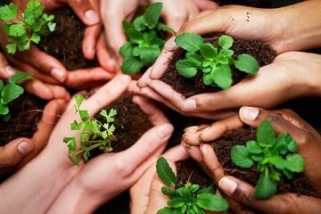 سایه مادرانه؛ چگونه نگاه زنانه میتواند نجات بخش محیط زیست باشد؟