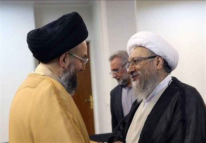 آملی‌لاریجانی در دیدار حکیم: پیوند میان ملت ایران و عراق خدشه‌ناپذیر است