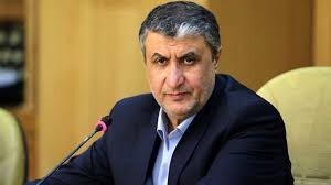 رئیس سازمان انرژی اتمی عازم وین شد