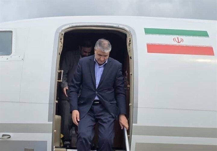 محمد اسلامی