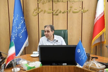 موهبتی: حوزه مولدسازی ظرفیت‌های بسیار خوبی برای نظام سلامت دارد