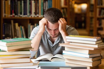 رابطه استرس مزمن و فرسودگی دانشجویان