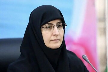 حکیم‌زاده: ثبت‌نام دانش‌آموزان ابتدایی بدون اوراق هویتی انجام می‌شود