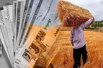 تمام مطالبات گندم‌کاران همدانی تسویه شد