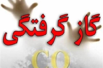 مسمومیت با گاز مونوکسید یک مادر و کودک در تهرانپارس