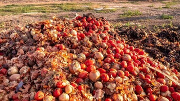 آمارهای تکان‌دهنده از نابودی محصولات کشاورزی