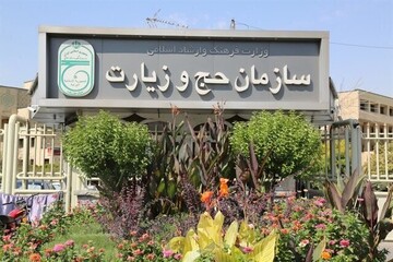 رشیدیان: حج ۱۴۰۵ ارزان‌تر برگزار می‌شود/ اعزام روزانه ۱۳۵۰ عمره‌گزار