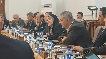 صادق: اولویت دولت، گره‌گشایی از مسکن دهک‌های یک تا پنج است