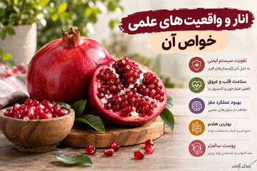 انار و واقعیت‌های علمی خواص آن