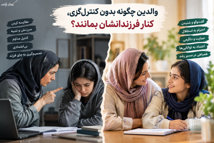 کنترلگری