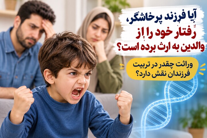 پرخاشگری